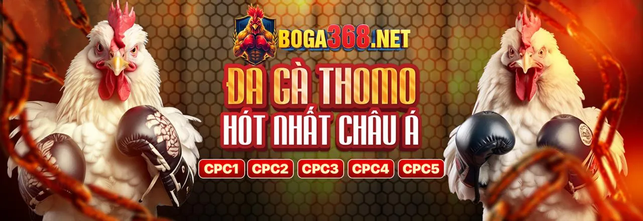 Sân vận động bóng đá với ánh đèn rực rỡ và khán giả cổ vũ cuồng nhiệt, thể hiện không khí cá cược thể thao sôi động tại 77win nhà cái