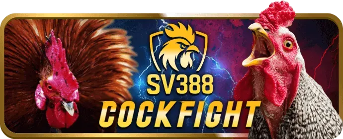 Đa dạng trò chơi cá cược trên 77win nhà cái